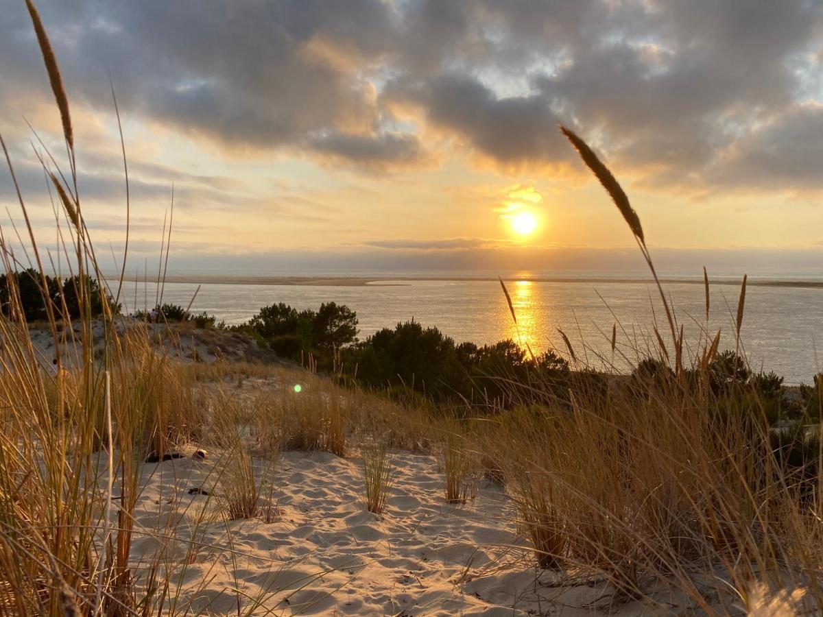 Bel Appartement Sur Le Bassin D'Arcachon, A 2Km De La Mer ラ・テスト・ド・ビュシュ エクステリア 写真